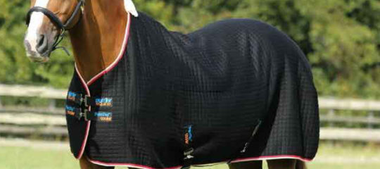 chemises pour chevaux